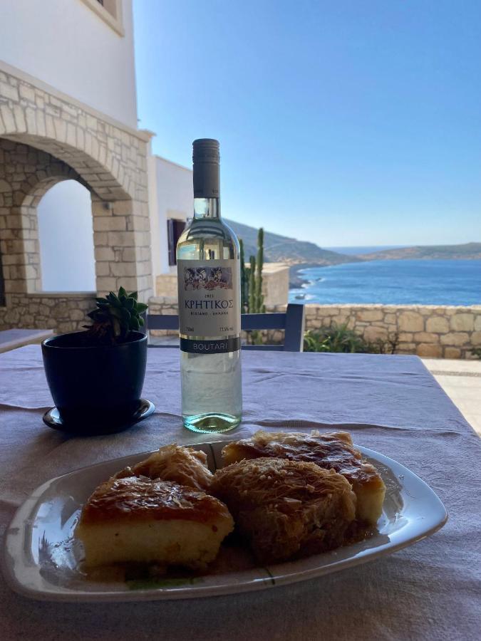 Vila Stonehouse With Breathtaking View Sitia (Crete)